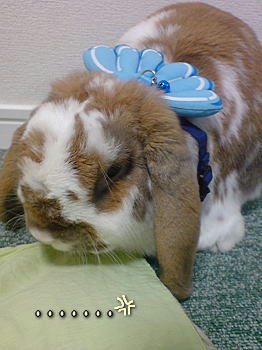 081125_2.jpg