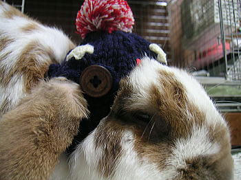 081126_3.jpg