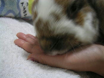 081220_2.jpg