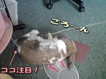 081203_4.jpg