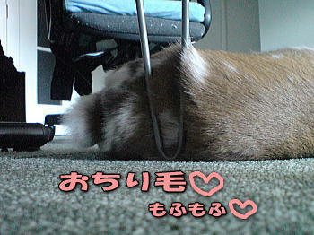 081203_5.jpg
