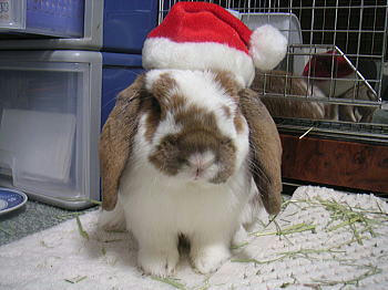 081223_1.jpg