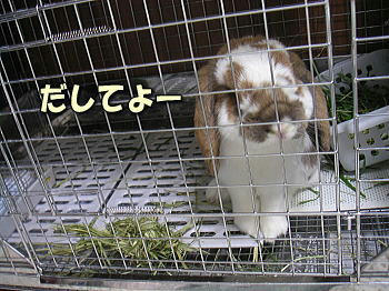 081225_1.jpg