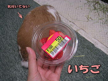 081228_1.jpg