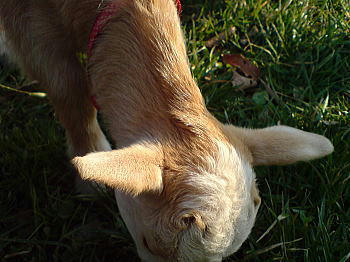 081230_3.jpg