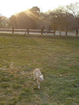 081230_6.jpg