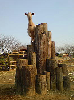 081230_8.jpg