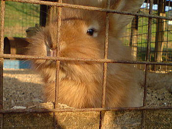 081230_9.jpg