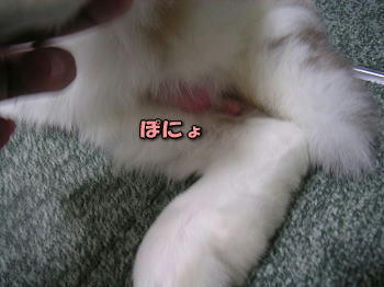 090112_3.jpg