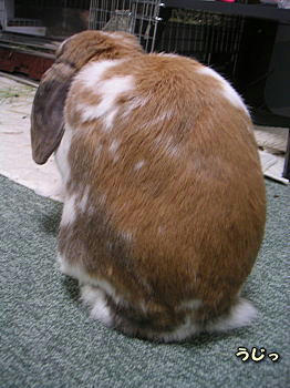 090124_4.jpg