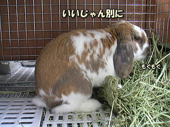 090125_2.jpg