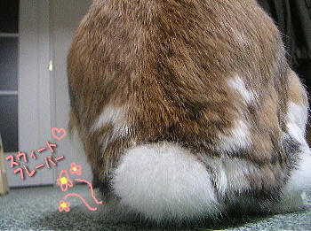 090227_2.jpg