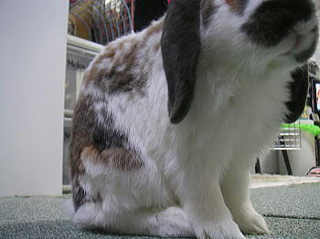 090227_3.jpg