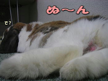 090301_2.jpg