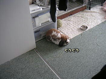 090308_2.jpg