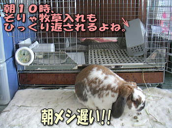 090311.jpg