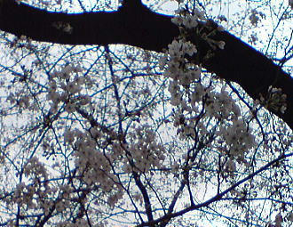 090323_1.jpg