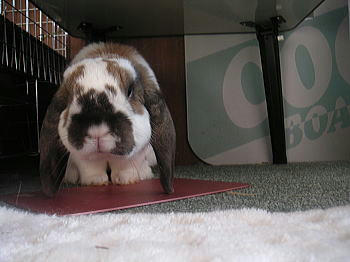 090411_5.jpg