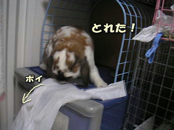 090425_5.jpg