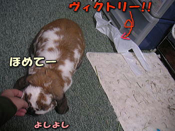 090425_6.jpg