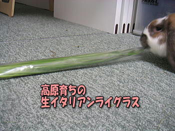 090504_2.jpg
