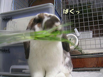 090504_3.jpg