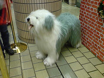 090506_3.jpg