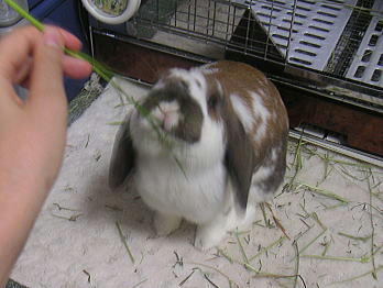 090508_4.jpg