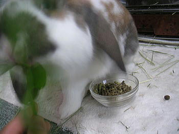090512_2.jpg