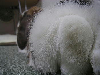 90527_1.jpg
