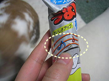 090601_1.jpg