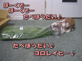 090603_7.jpg
