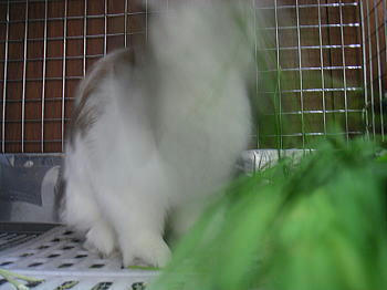 090607_1.jpg