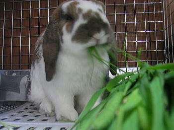 090607_3.jpg