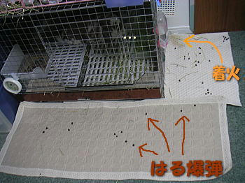090627_7.jpg