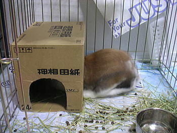 090628_3.jpg