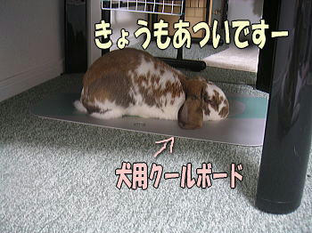 090730.jpg