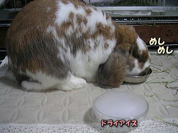 090809_1.jpg