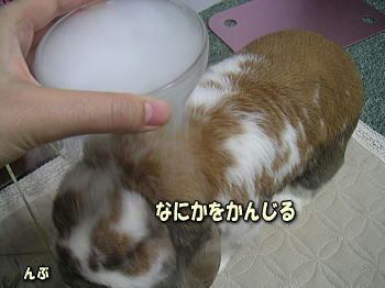 090809_3.jpg