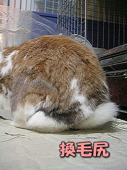 090907_3.jpg