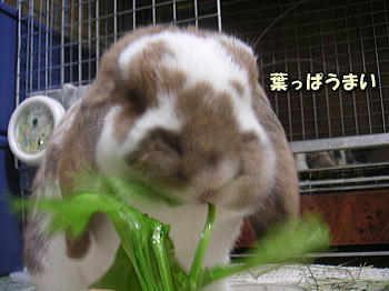 090912_1.jpg