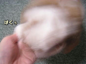 090920_5.jpg