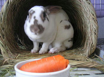 090926_3.jpg