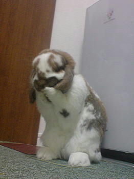 091010_3.jpg