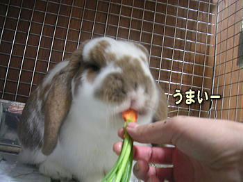 091025_2.jpg
