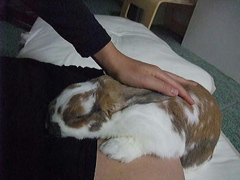 091113_1.jpg