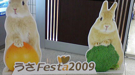 091118_1.jpg