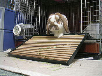 091122_3.jpg
