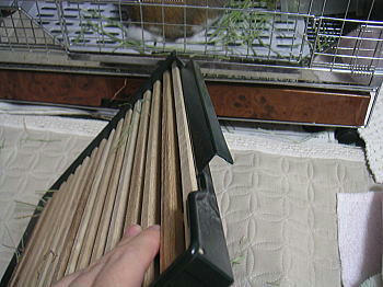 091124_6.jpg