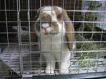 091126_1.jpg